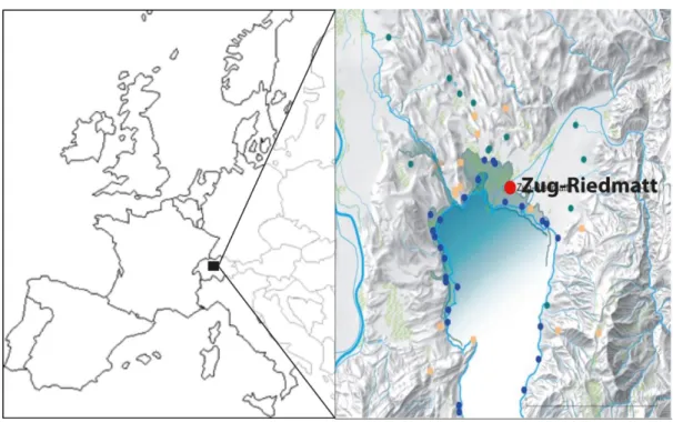 Figure 18 : Localisation du site de Zug-Riedmatt. Gauche : Localisation du lac de Zug ; droite : localisation du  site de Zug-Riedmatt (d’après Steiner, 2017)