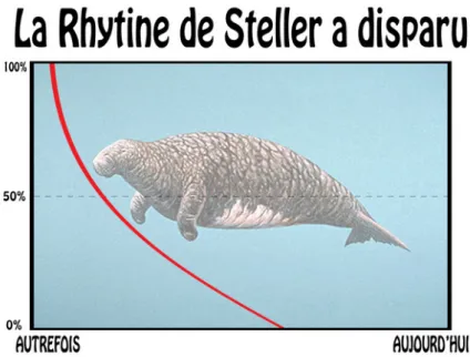 Figure 1 – La rhytine de Steller, victime de sa placidité et de ses réserves de graisse (Source : http ://edward.centerblog.net)