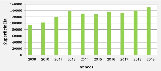 Figure 3: Évolution de la superficie nationale cultivée en pomme de terre en algerie   (MADRP, 2020)
