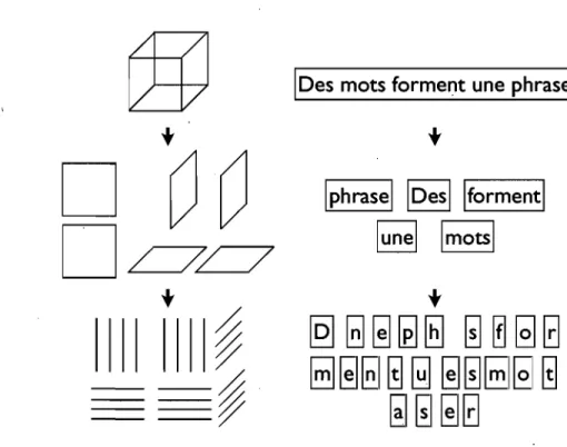 Figure 2.3 - Illustration de la décomposition hiérarchique d'un représentation d'un objet  en surfaces et en arêtes (à gauche) et d'une phrase en mots et en lettres (à droite)