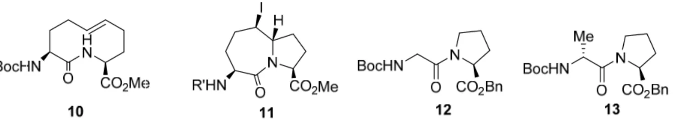 Figure 1.9. structure de la  macrocyclique lactame insaturée, L’azabicyclo[5.3.0]alkanone,  Gly-Pro et le D-Ala-Pro 