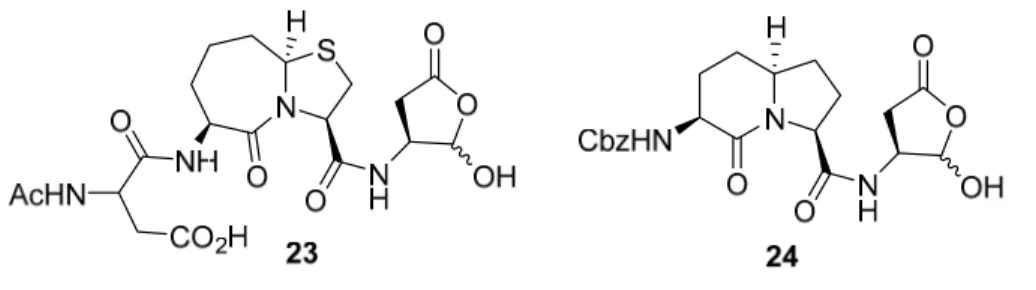 Figure 1.13. Structures des azabicyclo[5.3.0] et [4.3.0]alcanone inhibiteurs des caspases