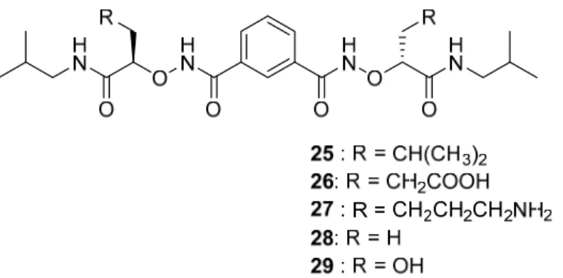 Figure 1.15.  Analogues de l’Antillatoxin. 