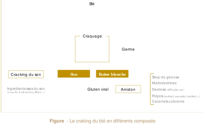 Figure  ­ Le craking du blé en différents composés   (D’après Thierry Souccar Edition Blibliobs)