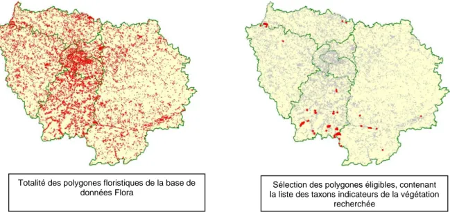 Figure 10 : Exemple de sélection de polygones de la base de données Flora filtré par les taxons indicateurs   (Alysso alyssoidis - Sedion albi  Oberd