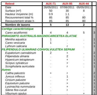 Tableau 21 : Caricetum acutiformis Eggler 1933 