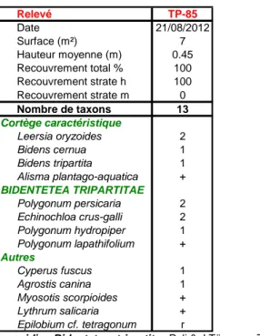 Tableau 8 : Leersio oryzoidis - Bidentetum tripartitae Poli &amp; J.Tüxen ex Zaliberova &amp; al