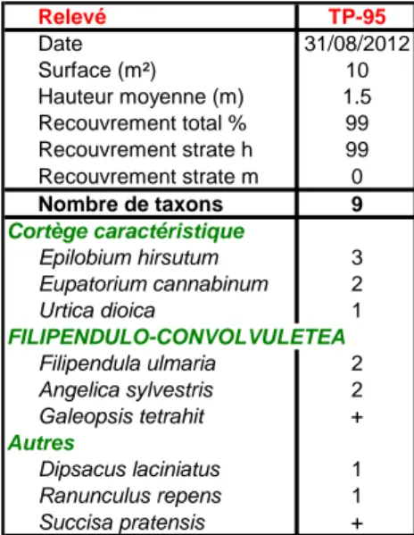 Tableau 17 : Epilobio hirsuti - Convolvuletum sepium Hilbig et al. 1972 