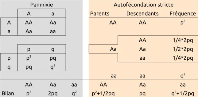 Figure   7 :   Effet   du   système   de   reproduction   sur   les   fréquences   génotypiques   après reproduction