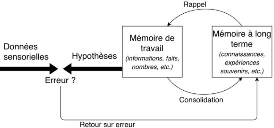 Figure 1.7 – Rôles des mémoires pour anticiper l’environnement . Adapté de Dehaene (2018) et McDermott et Roediger (2018)