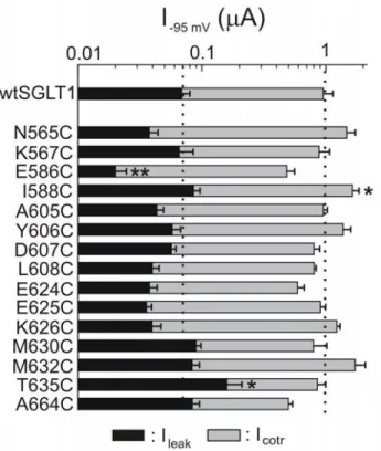 Figure 3.3: Comparison of mutated SGLT1 activities to that of wtSGLT1.  