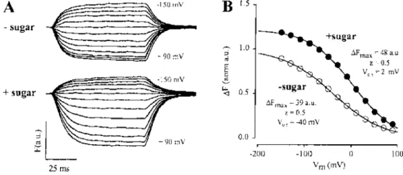 Figure 1.20 : Effet du glucose sur la fluorescence du TMR6M en position 457 en fonction  du voltage membranaire