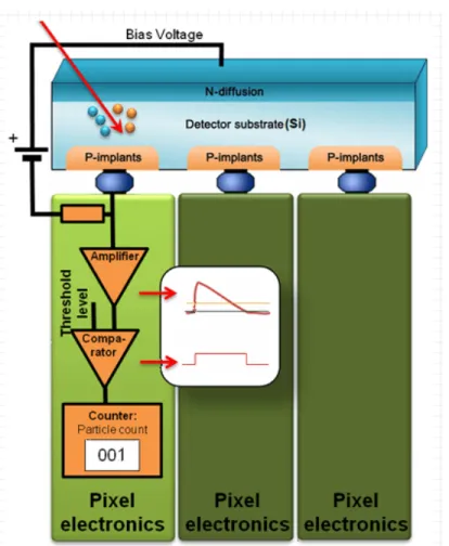 Figure 2.3 – Opération du détecteur MPX
