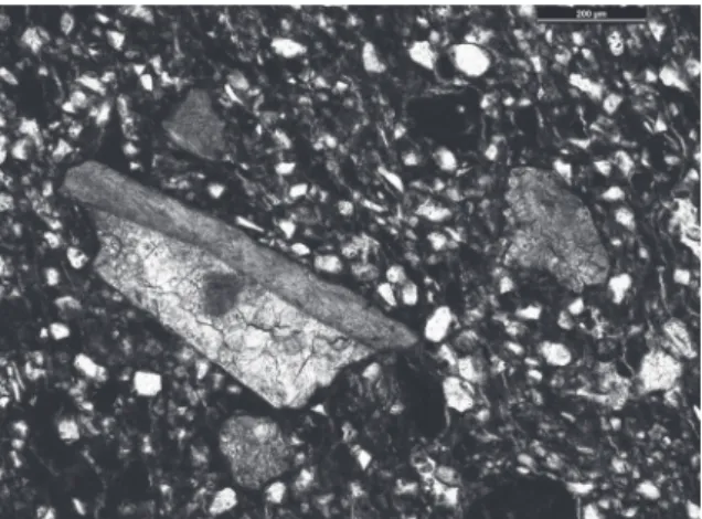 Figure 8. Micrographie d’une céramique dont la  pâte montre des fragments de calcaire cimenté à  des morceaux de coquilles.