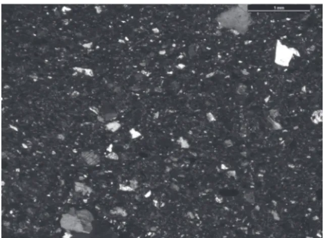 Figure 5. Micrographie d’une céramique à pâte  gabbroïque.  Les inclusions visibles sont fines et  anguleuses, et correspondent à l’altération d’un  gabbro et d’un granite.
