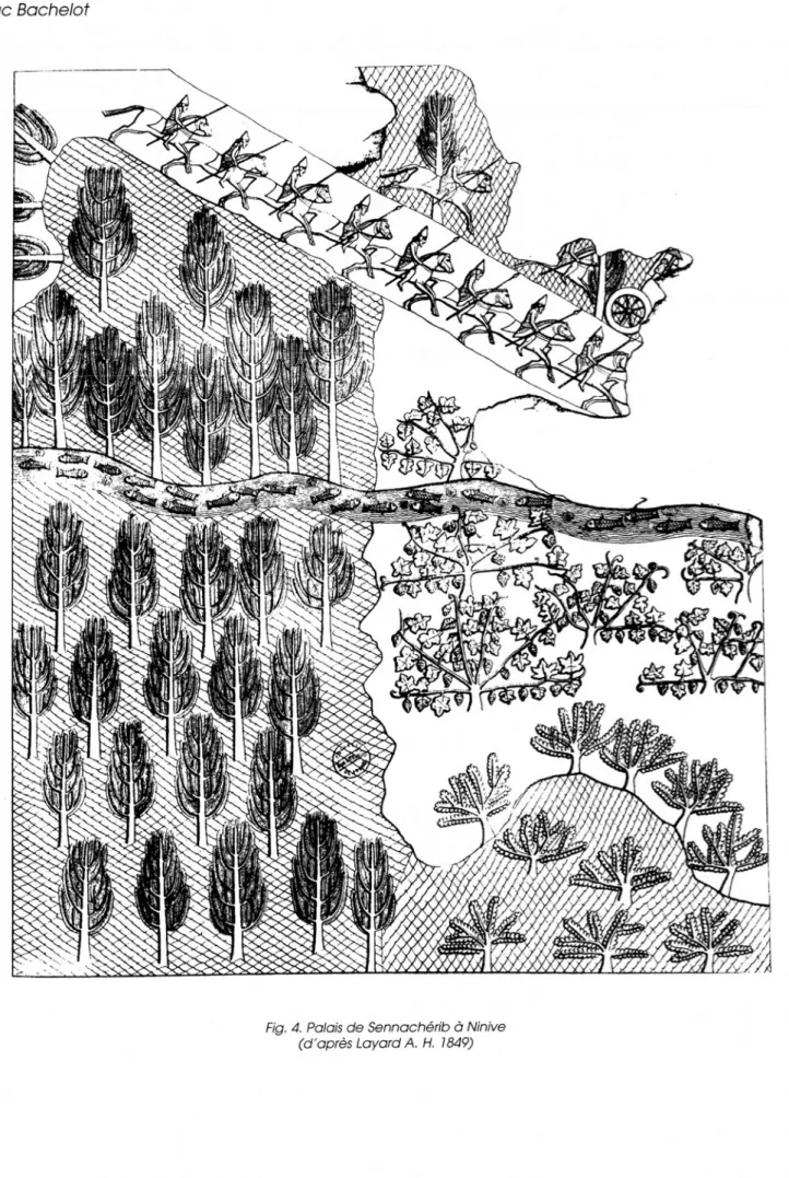 Fig.  4.  Palais de Sennachérib à Ninive  (d'après Layard A.  H.  1849)