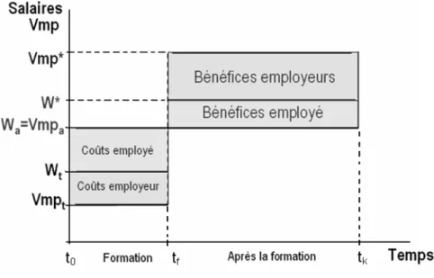 Figure 1 : Modèle partage coûts-bénéfices de la formation 