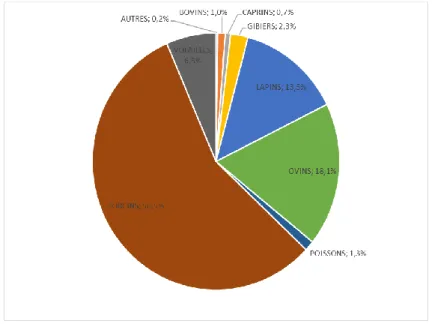 Figure 1 : Répartition des quantités pondérales d’antibiotiques par espèce 