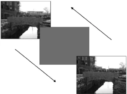 Figure 1. Représentation schématique du dispositif employé dans le flicker paradigm. 