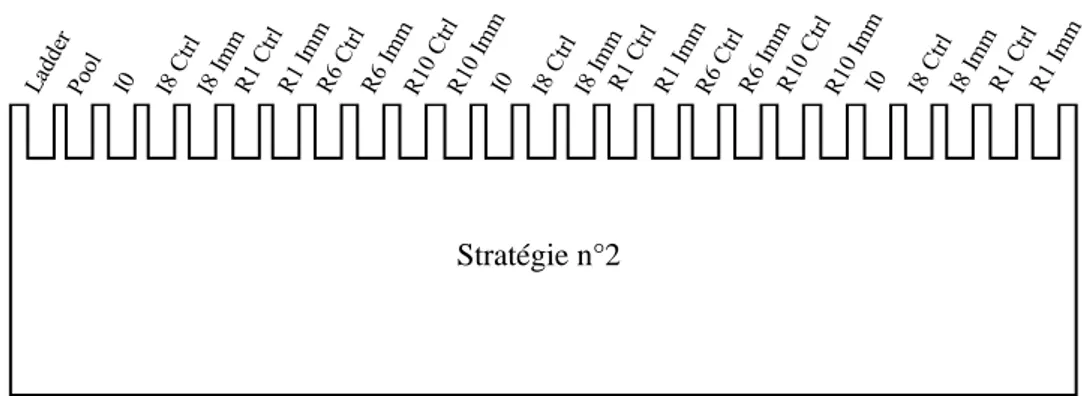 Figure 8 : Stratégies utilisées pour la mise en place des Western Blots  Ladder = échelle ; I0 = rat non plâtrés ; I8 = rats immobilisés 8 jours ;  R1-R10 = rats  remobilisés pendant 1 à 10 jours 