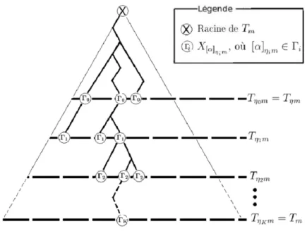 Figure 3.1. Représentation de Γ i , η i et de T η i m pour i = 0, 1, ..., K.
