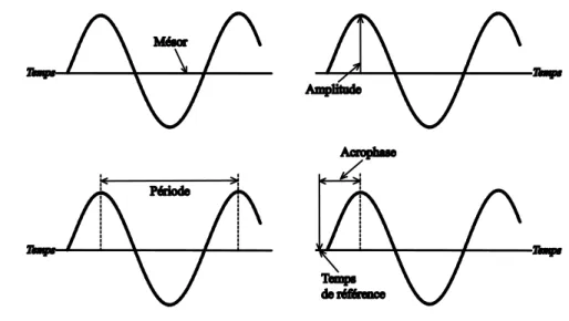 Figure 3  Paramètres caractéristiques d’une fonction rythmique. 