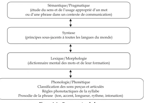 Figure 1.1 : Composantes du langageSémantique/Pragmatique