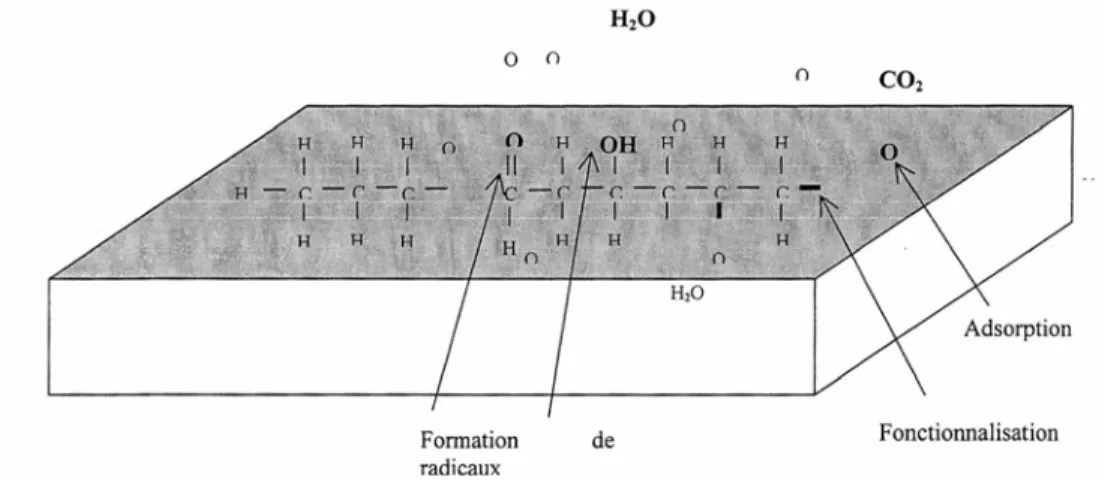 Figure 2.3 : Représentation schématique de l’oxydation et de l’érosion d’une surface de polyéthylène  par un plasma d’oxygène (d’après [19])