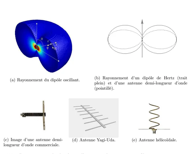 Fig. 2.2 – Rayonnement du dipôle oscillant et quelques antennes filaires caractéristiques.