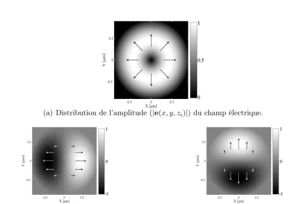 Fig. 3.5 – Distributions d’amplitude du champ électrique en polarisation radiale. Les flèches donnent la direction de vibration du champ électrique.