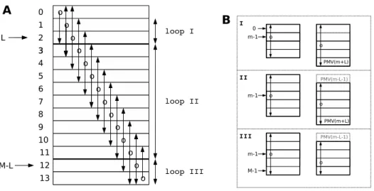 Figure 1: Sliding windows. M = 14; L = 2. Depending on the row m of the SNP inferred, the sliding window is either centered on m or is non symmetric.