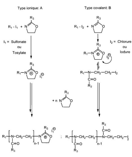Figure  1.4:  Mécanisme  de  la  polymérisation  cationique  par  ouverture  de  cycle  de  la  2- 2-alkyl-2-oxazo line