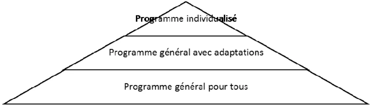 Figure 5 - Niveaux d'accès au programme de formation (MELS, 2004) 