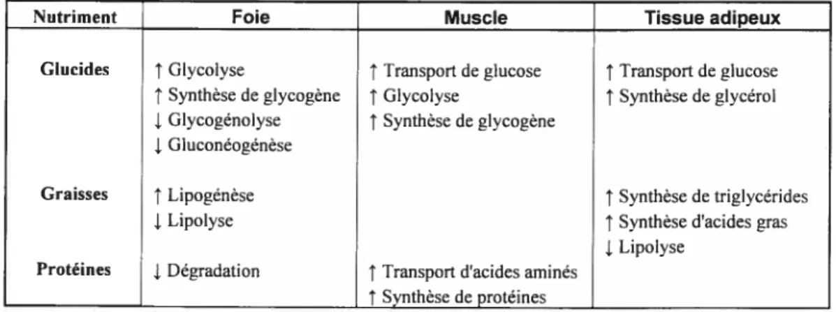 Tableau I. Effets de l’insuline sur le métabolisme de divers nutriments. L’action de