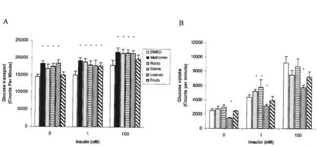 Figure 3. Raw data from the 3H-deoxyglucose transport assay, afier 21h of incubation with extracts