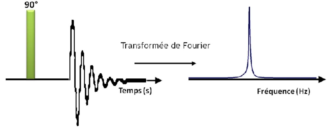 Figure 1.6  FID  résultant  d’une  impulsion  de  90°  suivie  d’une  transformée  de  Fourier