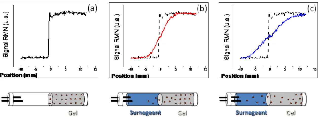 Figure 1.12  Imagerie  RMN  31 P  1D  d’un  hydrogel  chargé  en  analyte  avant  une  expérience  de  diffusion  mutuelle  (a)