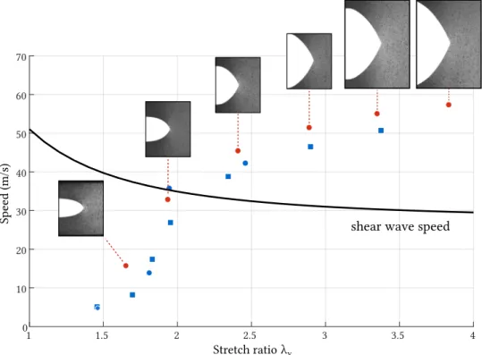 Figure 6: Shear wave and steady state crack propagation speeds vs. prescribed stretched ratio