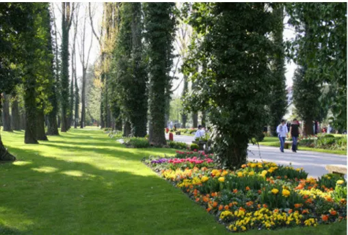 Figure 3 : Le parc du Près-la-Rose (Source: Arcoirisphoto 82 )  L’espace Galilée 