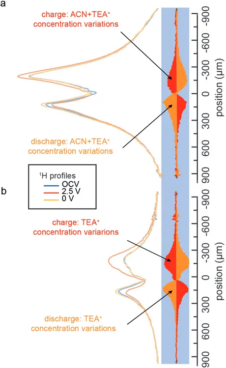 Figure 4. Charge/discharge 1D TEA +  concentration profiles (left) during OCV, at 2.5 V and 0 V,  and the corresponding changes on the same scale (right: red for charge and orange for discharge)  observed  for  a  supercapacitor  made  with  CC  with  (a) 