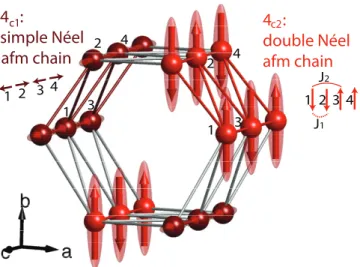 FIG. 4. (Color) Refined magnetic structure of SrHo 2 O 4 . The moments on the Ho c 1 sites are aligned with the c axis and are ferromagnetic along the rungs and antiferromagnetic between the rungs