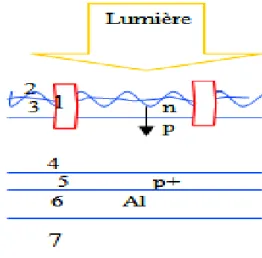 Figure I. 2  : composition d’une cellule au monocristallin. 