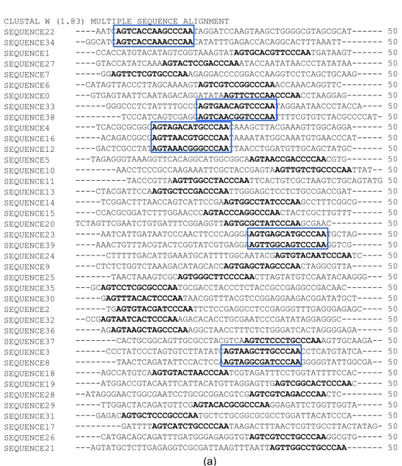 Figure 1: Multiple alignment obtained with software CLUSTALW for a set of 40 sequences all containing the consensus motif AGT xxxCxxxCCCAA .