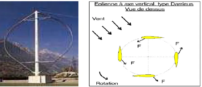 Fig. I-3 : Schéma de principe du rotor de Darius    