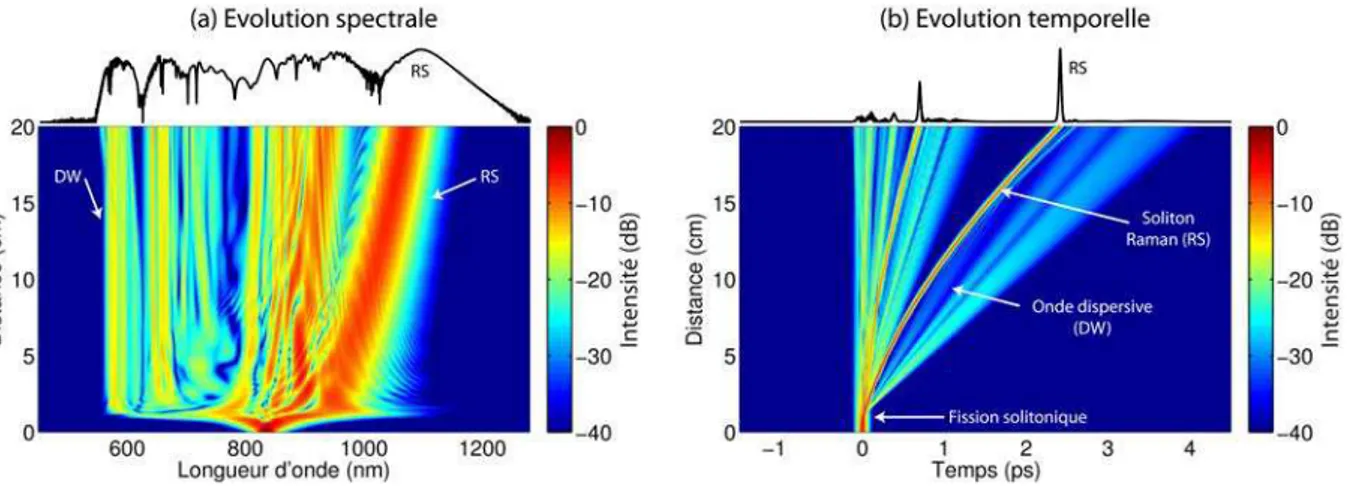 Figure 2.2 – Simulations numériques d’un supercontinuum généré à partir d’une impulsion femtoseconde : Évolution spectrale (a) et temporelle (b) obtenue sur 20 cm de propagation dans une PCF dont les paramètres sont donnés dans la Ref