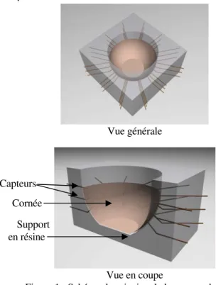 Figure 1 : Schéma de principe de la mesure du pH de  la cornée 