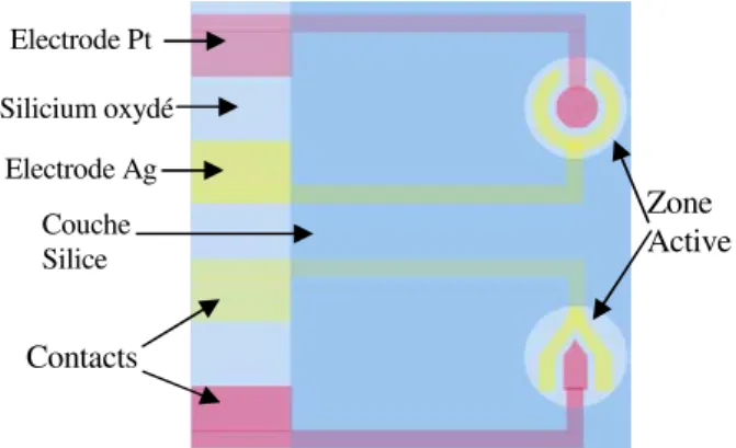 Figure 2 : Schéma retenu pour les microcapteurs de  pH 