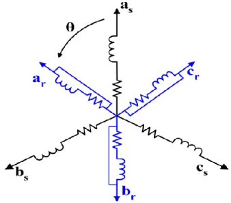 Figure II.1: Représentation des enroulements d’une MAS triphasée 