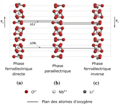 Figure 13 : Visualisation de l'empilement des atomes d'oxygène et position relative des atomes de Nb et Li dans les  phases ferroélectriques (a),(c) et paraélectriques (b) d’après [1-46] 