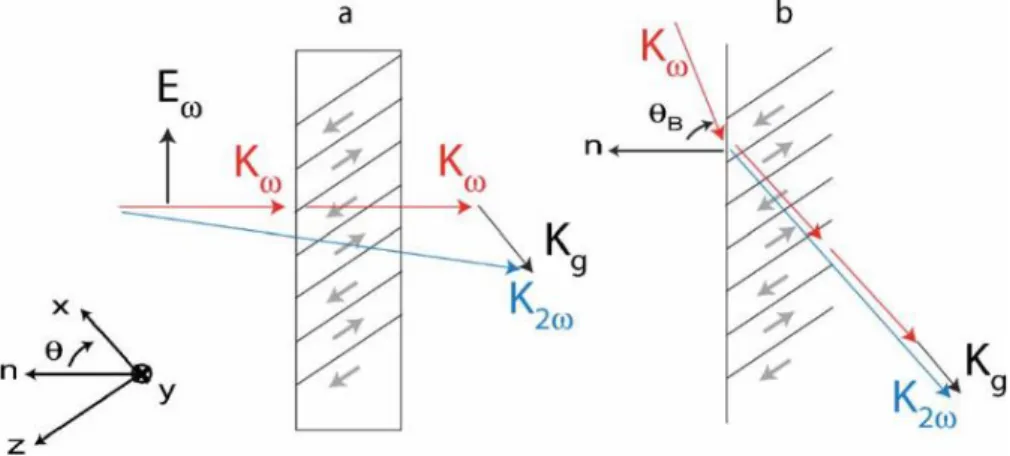 Figure 16 : Structures PPLT sur coupe (XY)/25°. L’inclinaison des domaines permet d’obtenir une ouverture optique  plus importante 